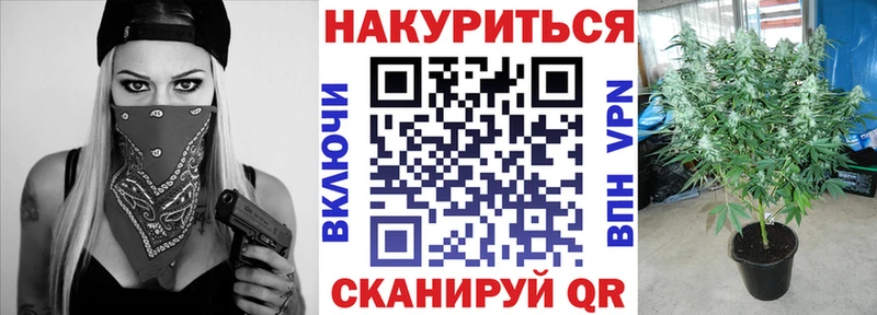 Где найти наркотики Елизово COCAIN  Псилоцибиновые грибы  ГАШИШ  Меф мяу мяу  СОЛЬ 