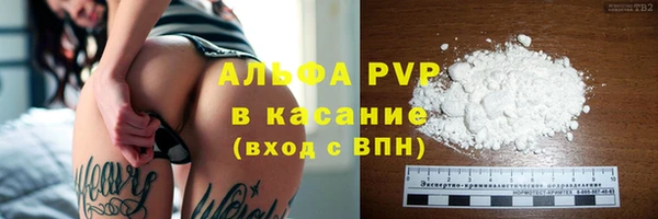 шишки Гусев