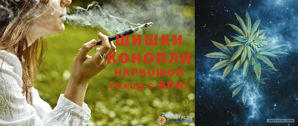 амф Гусь-Хрустальный