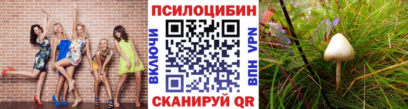 Галлюциногенные грибы Cubensis kraken как зайти Елизово