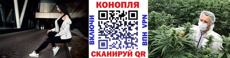 купить наркотики сайты  Елизово  Бошки марихуана гибрид 